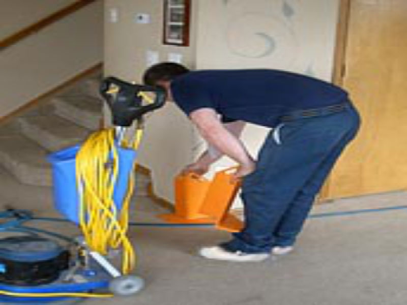 Why Hire a Professional Service for Flood Damage Cleanup