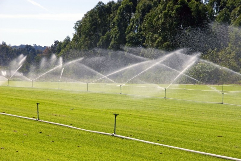 A Sprinkler System Installation in Broomfield, CO Easily Provides the Correct Amount of Water on Schedule