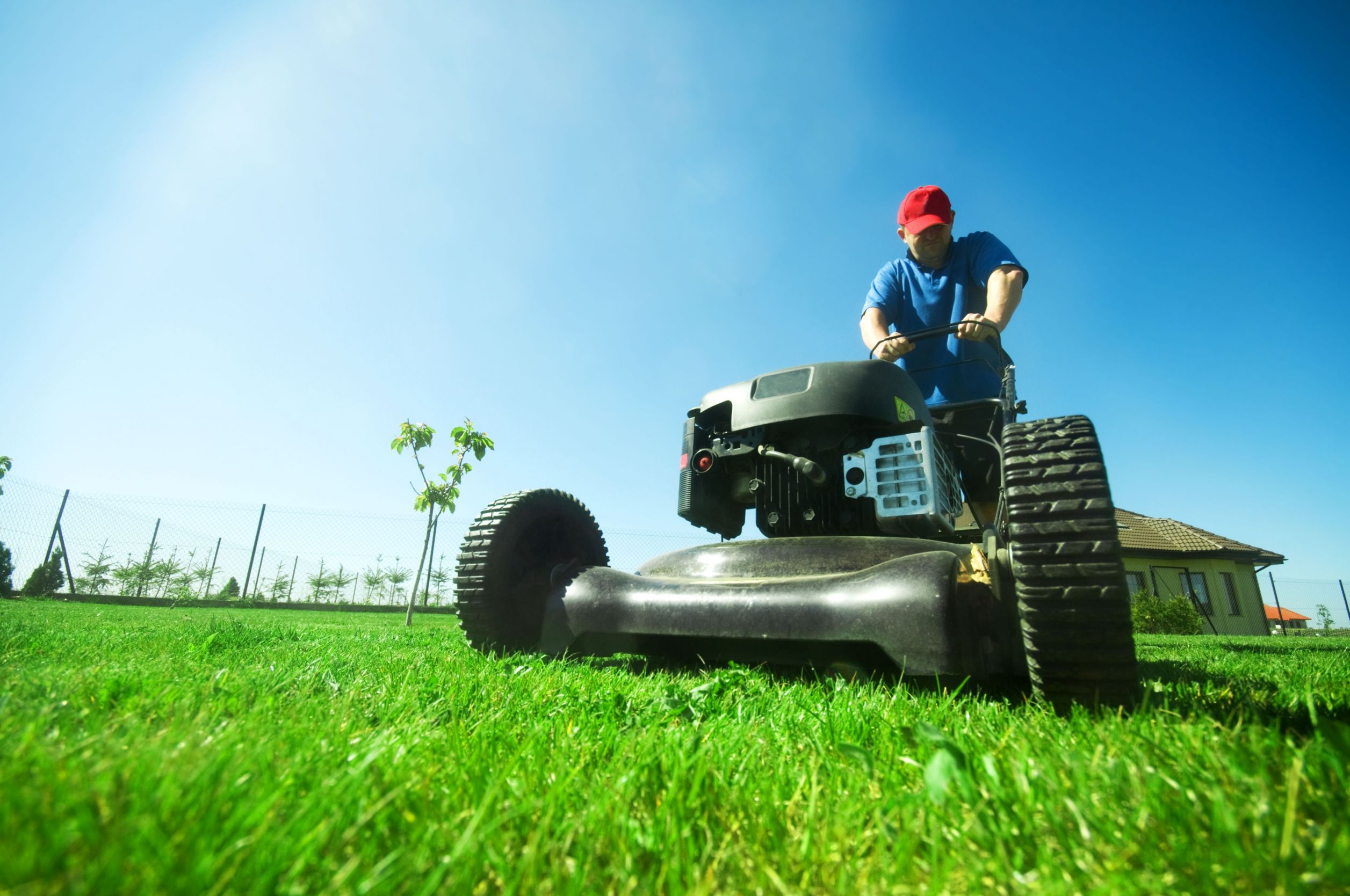 Making Productive, Strategic Use of Professional Lawn Care in Milwaukee WI