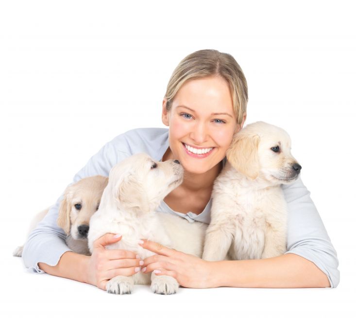 What to Consider When Looking for Emergency Pet Care in Gaithersburg MD