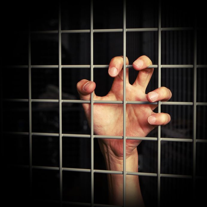 What To Look While Choosing A Bail Bond Company