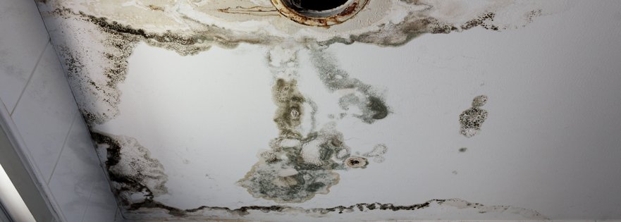 What To Expect During Mold Damage Restoration In Fountain, CO