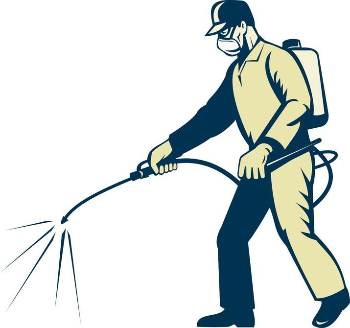 Benefits Of Hiring A Professional Pest Exterminator In Baltimore MD