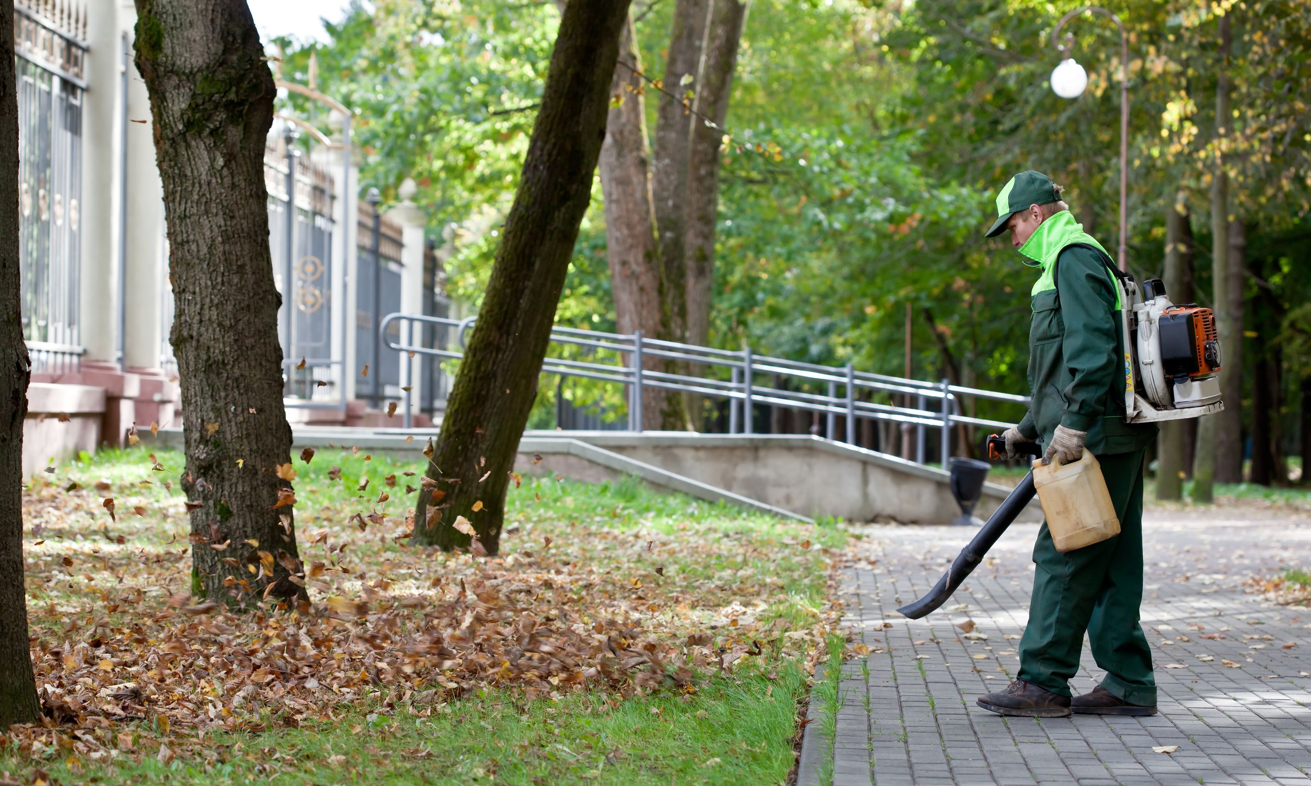 The Importance of Pest Control in Boulder, CO for Your Residential or Commercial Landscape Design