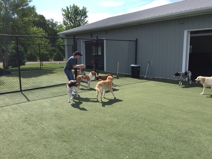 Why More Pet Owners Choose A Facility That Provides An Outdoor Dog Kennel IN Omaha NE