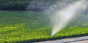 3 Reasons to Opt for Sprinkler Repair in Spokane