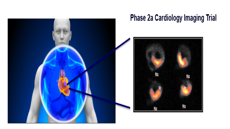 Nuclear Molecular is Expanding to Monitor Cancer Treatments Earlier