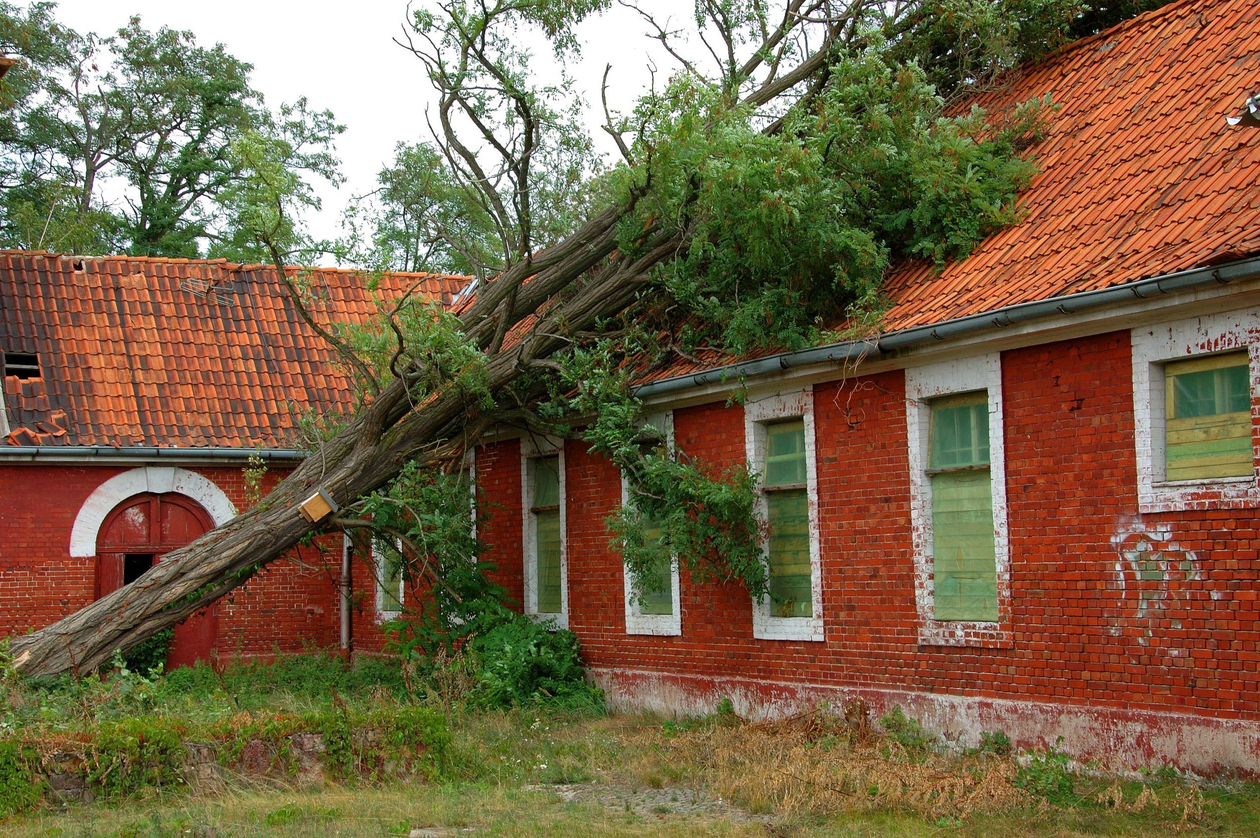 Do You Need to Call About Wind Damage Restoration?