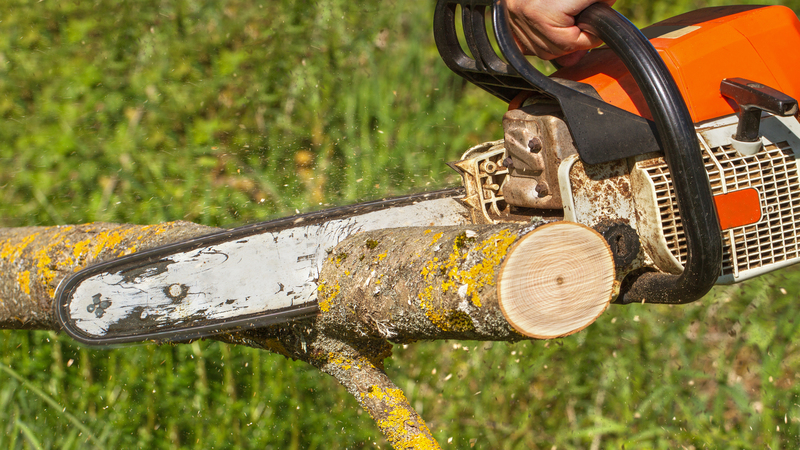 What Are The Benefits Of Emergency Stump Grinding In Fort Myers, FL?