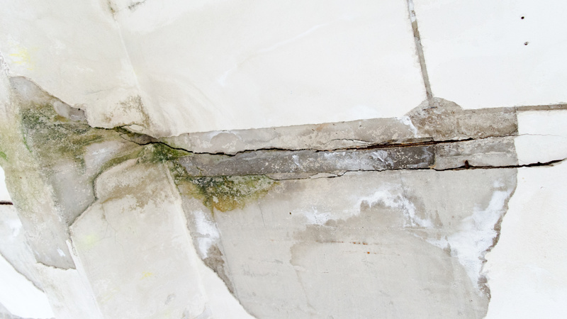 Mold Remediation: Letting A Professional Take Control