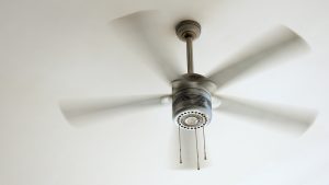 Features Available for Ceiling Fans in Wilkes-Barre, PA