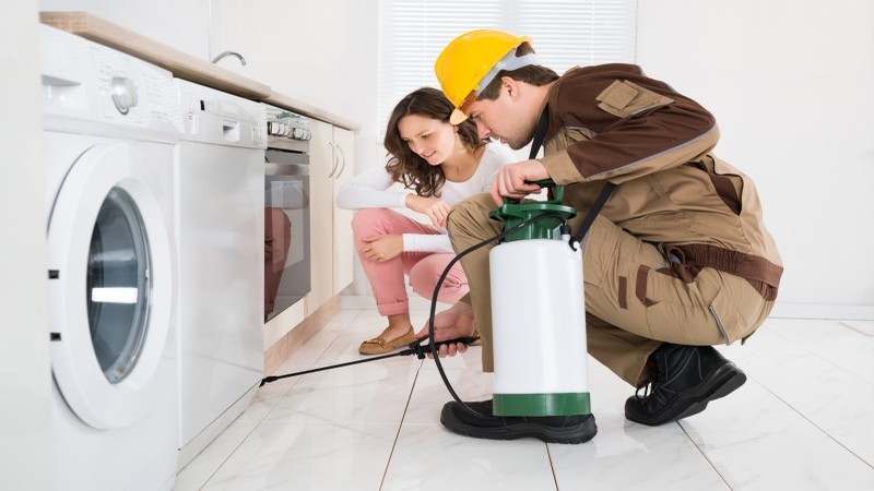 Signs You Need Pest Control in Peachtree City, GA