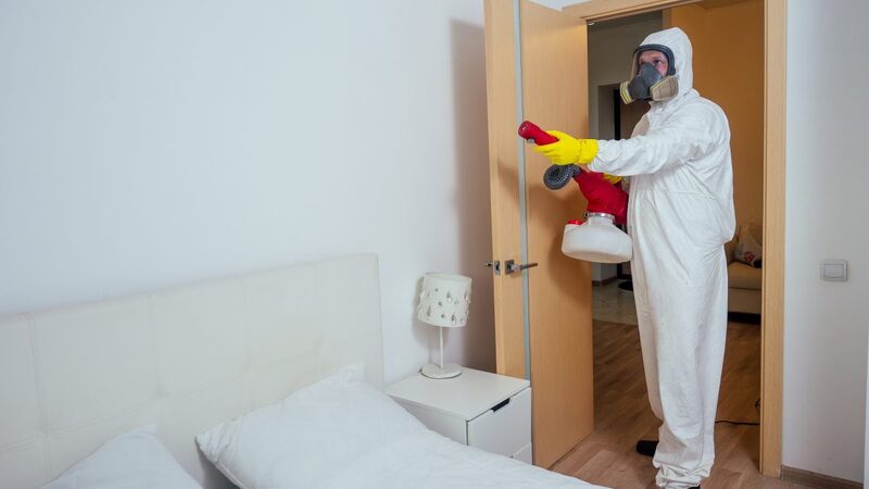 Find Reliable Pest Control Services in Peachtree City, GA Today