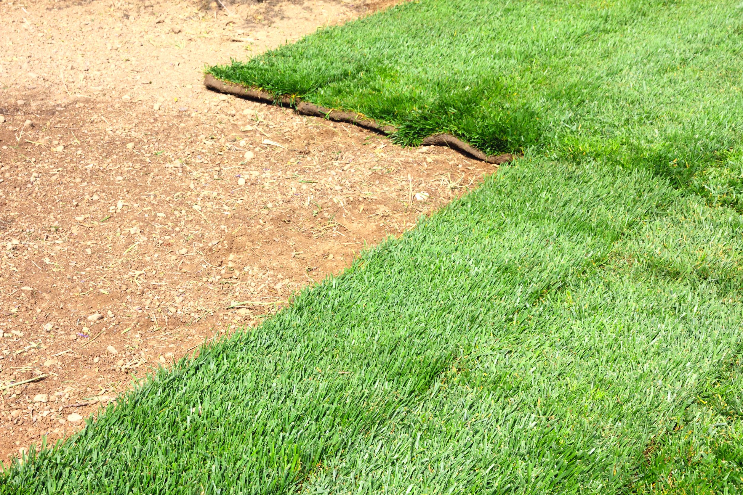 Buy Sod for Sale Temecula CA and Give Your Lawn an Instant Uplift