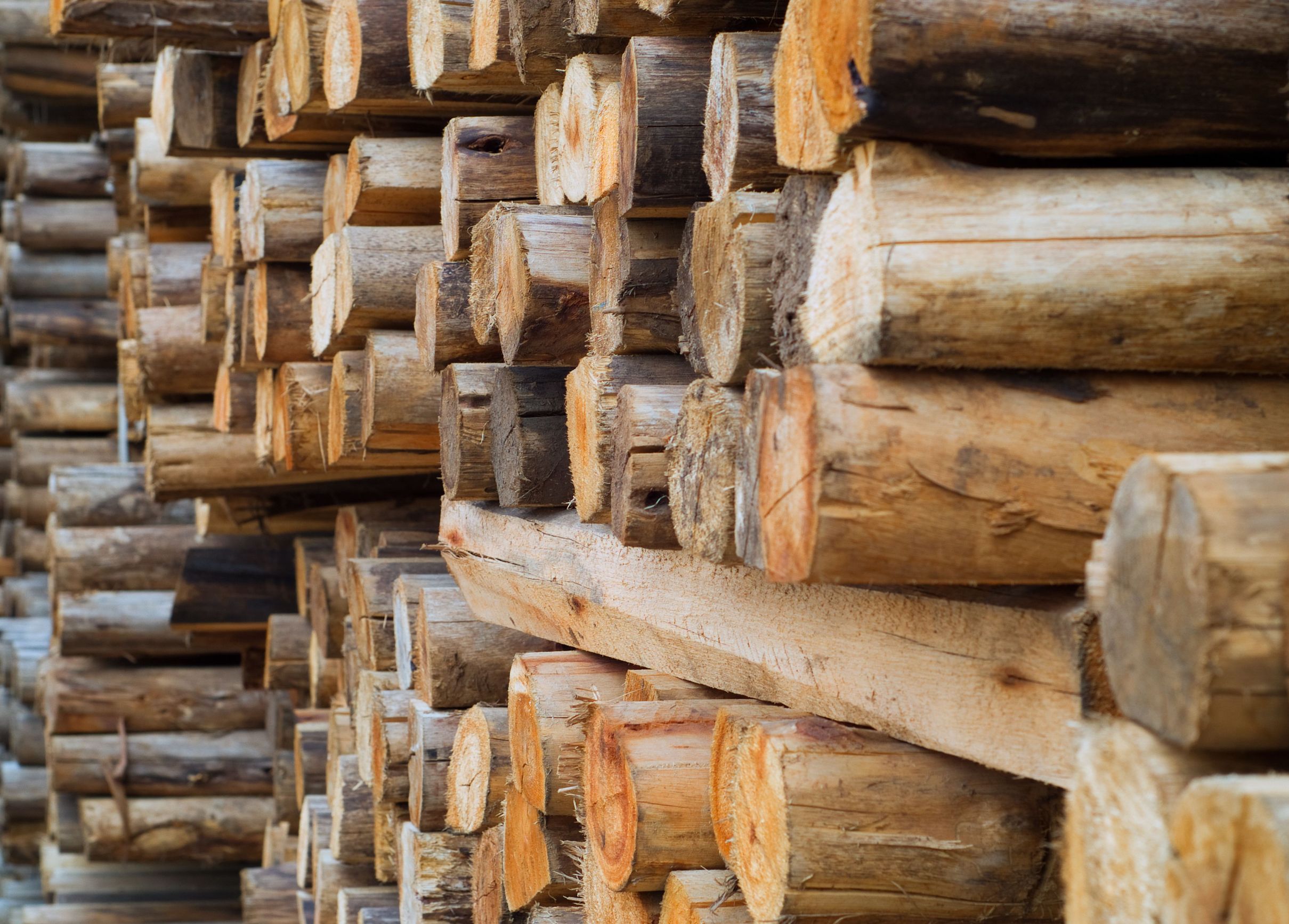 Your Guide to Stocking Up on Firewood This Winter