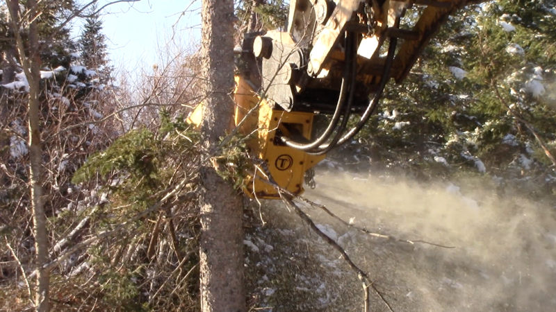 How to Know the Right Time to Use a Mulching Head for a Mini Excavator