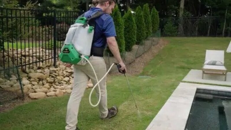 The Best Pest Control Services in Peachtree City, GA, Can Solve Your Problems Swiftly