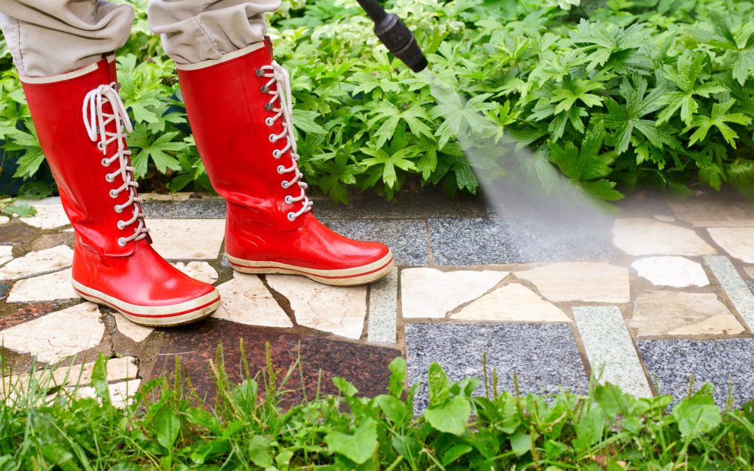 An Esteemed Service Offers Great Deals On Pressure Washing in Honolulu