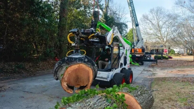 Why Tree Pruning in Griffin, GA, Is a Necessity