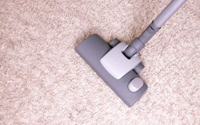 Transform Your Space with Expert Carpet Steam Cleaning Near Madison, WI, for a Healthier, Fresher Home